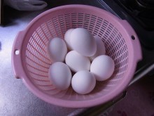 鴻巣の整体院ささき　整体よもやま話