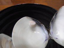 鴻巣の整体院ささき 整体よもやま話