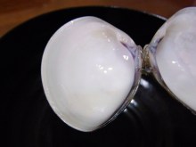 鴻巣の整体院ささき 整体よもやま話