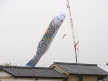 鴻巣の整体院ささき　整体よもやま話