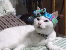 鴻巣の整体院ささき　整体よもやま話-まろ２