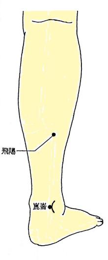 鴻巣の整体院ささき 整体よもやま話-飛陽と崑崙