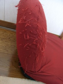 鴻巣の整体院ささき 整体よもやま話-作品③