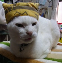 鴻巣の整体院ささき　整体よもやま話-ご老公２