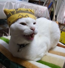 鴻巣の整体院ささき　整体よもやま話-ご老公３